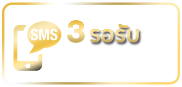 รวย หวย ruay